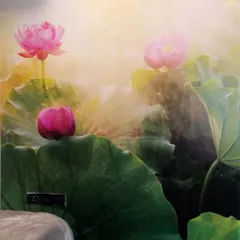 A close-up of a beautiful lotus pond mural. The soft, misty background and vibrant pink flowers create a serene and peaceful atmosphere, ideal for a spa, wellness center, or a tranquil office breakout area.