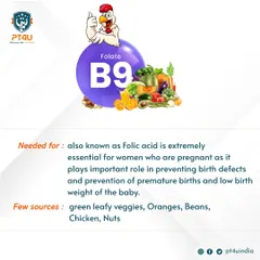 Folate, or Vitamin B9, is extremely important, particularly for pregnant women, as it helps prevent birth defects. This post identifies great sources like green leafy veggies, oranges, beans, and chicken.