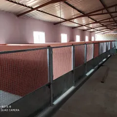 A look inside what we proudly call the largest dog kennels in Bangalore. Each unit is spacious, clean, and well-ventilated, ensuring your furry friend has a comfortable and private space to rest after a long day of play.