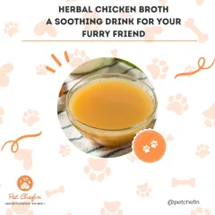 Keep your pup cozy this monsoon with our herbal chicken broth recipe. Packed with parsley and turmeric, it's a great way to boost their immunity. Add one of our air-dried chews as a topper for extra goodness.