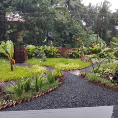 We designed and built this tropical garden for a beautiful villa in Goa. The project involved creating winding gravel pathways, defining garden beds with brick edging, and selecting a variety of plants like banana and frangipani to create a dense, layered look.