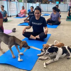 The puppies often have their own idea of what yoga is. This session involved a lot of playful interruptions and happy licks.
