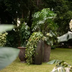 Our Atlantic glazed pots in stormy greys and earthy browns bring a quiet sophistication to this outdoor setting. Each pot is hand-shaped, ensuring no two are exactly alike.