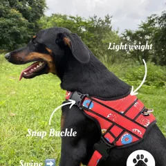 Here's a closer look at the donut print harness, highlighting its key features. It's lightweight for comfort and has a sturdy snap buckle for quick and easy fitting.