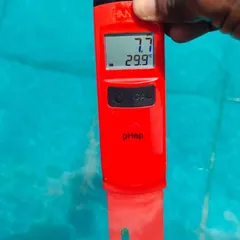 Another temperature check showing the water at a lovely 29.9 degrees. Warm water like this is what brings everyone back to the pool, especially after a break during the monsoon season.