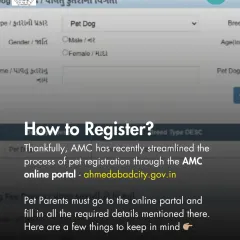 How to register your pet in Ahmedabad? We provide a clear guide on using the AMC online portal and the steps required to complete the process.