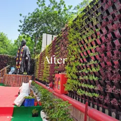 Another view of the completed living wall, showing how we carefully integrated it around existing infrastructure like the red fire safety pipe and fire extinguisher box.