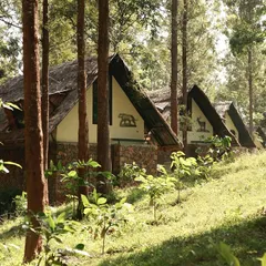 Cottages at the Gorukana Resort nestled in the forest. The design uses local materials like stone and thatch to create a rustic yet comfortable retreat that blends seamlessly with the wilderness.