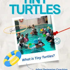 We believe in starting them young. Our 'Tiny Turtles' program is designed for infants from 6 months to 4 years, helping them build water confidence in a safe and playful environment.