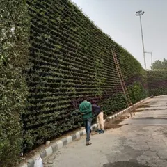 My team and I can handle projects of any size. This image shows a massive living green wall we installed for a large commercial property. This kind of large-scale biowall not only looks impressive but also helps improve the surrounding air quality.