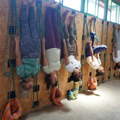 A group of students exploring inversions during a Yoga Kurunta session. The ropes provide security and support, allowing practitioners to experience the benefits of being upside down, such as improved circulation and spinal decompression, with confidence.