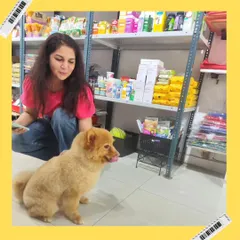 A quiet moment with a sweet Pomeranian after his grooming. I always take a little time to connect with each pet.