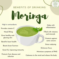 This graphic explains the many health benefits of drinking Moringa tea, which we make from leaves grown on our farm. It's a wonderful way to boost immunity, reduce stress, and improve overall wellness.