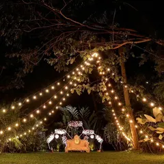 A romantic outdoor seating area under a canopy of string lights, with a beautifully decorated floral couch providing a perfect photo spot.