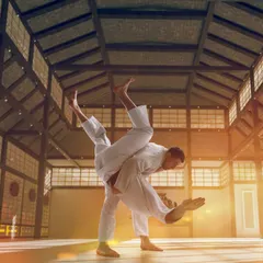 A powerful image of a Judo throw. This represents the beauty and effectiveness of traditional martial arts.