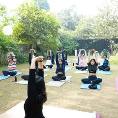 An outdoor yoga session is a perfect way for a team to connect with nature and each other. I guide groups of all sizes through gentle, grounding flows that are accessible to everyone, regardless of their experience level.