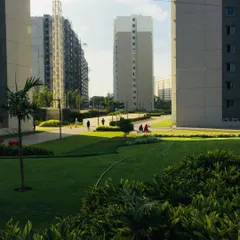 The view between two apartment towers, showing the expansive park-like setting we created for residents, complete with walking paths and lush greenery.