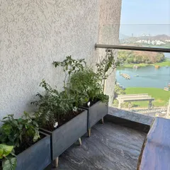 A trio of planters filled with edible greens, positioned to get ample sunlight on a balcony with a beautiful lake view.