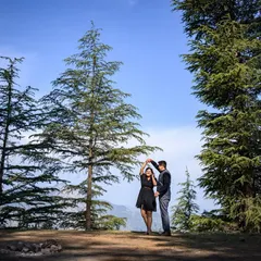 A joyful moment of dance amidst the tall deodar trees. This wide shot captures the couple's free-spirited love against a majestic natural backdrop.
