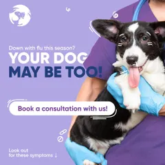 Did you know that dogs can get the flu too? This post alerts dog owners to be on the lookout for flu symptoms, especially during monsoon season, and encourages them to book a consultation if their dog seems unwell.