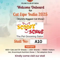 We were thrilled to be onboard for Cat Expo India 2025, the world's biggest cat show. Our stall, Scoopy Scrub, was a hub for grooming advice and services for the hundreds of beautiful cats in attendance.