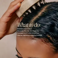 Our students learn to advise clients on proper scalp care routines, including weekly exfoliation, mindful massage to stimulate blood flow, and regular cleansing.