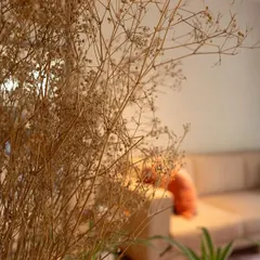 A detail shot from the tranquil office space, focusing on the use of natural and dried botanicals to enhance the calm atmosphere. The soft, out-of-focus background shows a comfortable sofa, illustrating how we blend decorative elements with functional furniture.