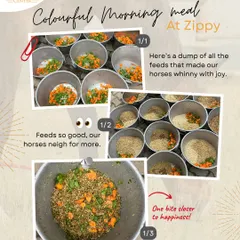 A horse's day starts with a balanced, colorful meal. We design customized nutrition plans, using fresh ingredients like carrots and wholesome grains, to ensure every horse gets exactly what they need for their health and energy levels. This is not just feed; it's fuel for a happy life.