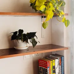In this day and age, I believe no bookshelf is complete without a plant. A trailing Philodendron Brasil adds a pop of color and life to these wooden shelves.