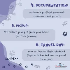 We take care of all the complex preflight paperwork, clearances, and permits. Once everything is ready, we arrange for the pickup of your pet from your home to begin their journey.
