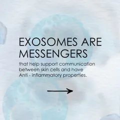 This graphic explains that Exosomes are messengers that support communication between skin cells and have anti-inflammatory properties.