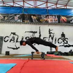 Holding a perfect pseudo planche push-up. This exercise is key for developing the straight-arm strength required for the full planche.