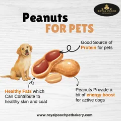 Did you know peanuts are a great source of protein and healthy fats for pets? They can contribute to healthy skin and a shiny coat, and provide an energy boost for active dogs.