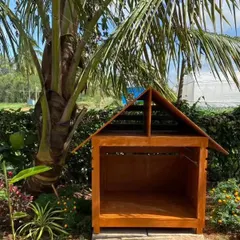 A closer look at one of our custom-built wooden kennels, nestled among the palm trees. We've designed our facilities to be both functional and harmonious with the natural environment of the ranch.