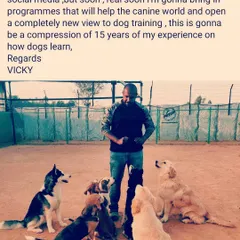 As a trainer, I am the leader of the pack. These dogs are all looking to me for guidance and direction. This is the relationship I build with every dog that comes into my Board and Train program.