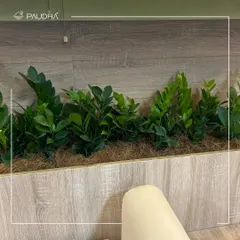 Here you can see the rich texture of the ZZ plants used in the integrated planters. Their glossy, dark green leaves provide a lovely contrast against the light wood, adding depth and life to the space.