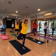 A group of students holds Vrikshasana (Tree Pose) together. There's a special energy when we find our balance as a community.