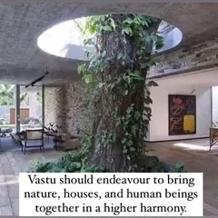 True Vastu seeks to create a higher harmony between nature, our homes, and ourselves. As seen in this image where a tree is integrated into the structure, my goal is to design spaces that feel like a natural extension of the world around us.