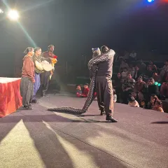The puppeteers of 'Be Yourself' engage with a large snake puppet, captivating the audience. The show teaches a powerful lesson about self acceptance, using the beauty of Indian craft to tell a universal story.