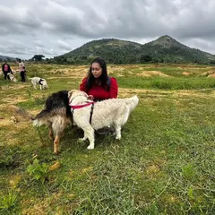 A moment of connection on the trail. These group hikes are a fantastic opportunity for safe, supervised socialization in a neutral, open environment where dogs can learn to interact positively.