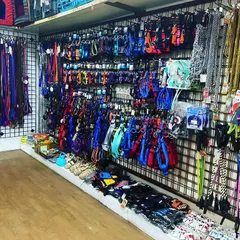 Get ready for walkies. We have an entire wall dedicated to high-quality leashes, colorful harnesses, and durable collars for dogs of all breeds and sizes.