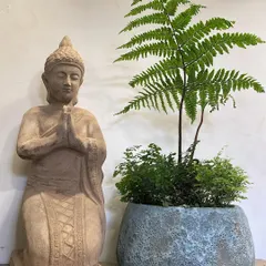 Bring positive vibes into your home with this pairing of a delicate fern in an Atlantis planter and a serene, praying Buddha statue. This combination is perfect for creating a meditation corner or a peaceful nook.
