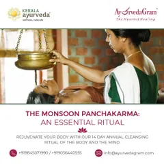 Experience Shirodhara, a cornerstone of our monsoon Panchakarma ritual. A continuous stream of warm, medicated oil flows over the forehead, calming the nervous system, relieving stress, and promoting deep mental clarity. Our trained therapists perform this ancient practice to restore your inner balance.