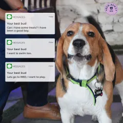 If your dog could text, this is what they might say. We offer everything your best bud wants: treats, swimming, and plenty of playtime.