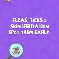 Spotting them early is key. Fleas, ticks, and skin irritation can cause significant discomfort, but with regular grooming, we can help you identify and address these issues right away.