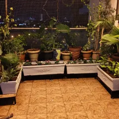 Here’s how a balcony garden can look at night, becoming a peaceful retreat. This setup uses a mix of large planters and rectangular beds to maximize growing space for a variety of leafy greens and ornamental plants.