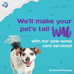My goal is to make every tail wag. As part of my comprehensive pet care facility, the hydrotherapy service is just one of the many ways I help keep your furry friend healthy, active, and happy.
