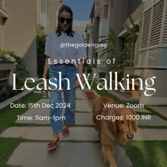 This webinar is dedicated to the essentials of leash walking. If you're tired of your dog pulling, lunging, or reacting to other dogs on walks, this session will give you the tools to regain control and enjoy your time outdoors.