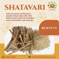 For fatigue and exhaustion, Shatavari is a powerful rejuvenating herb. Taking 3-5 grams of Shatavari powder with milk before food can help restore your energy and vitality.
