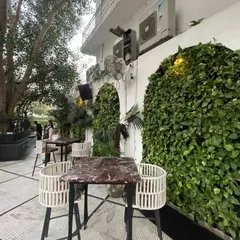 A lush installation of money plants (Epipremnum aureum) fills an arched alcove at Diablo restaurant. This hardy plant is excellent for creating dense, cascading green walls.